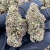 Sugar breath cannabis strain