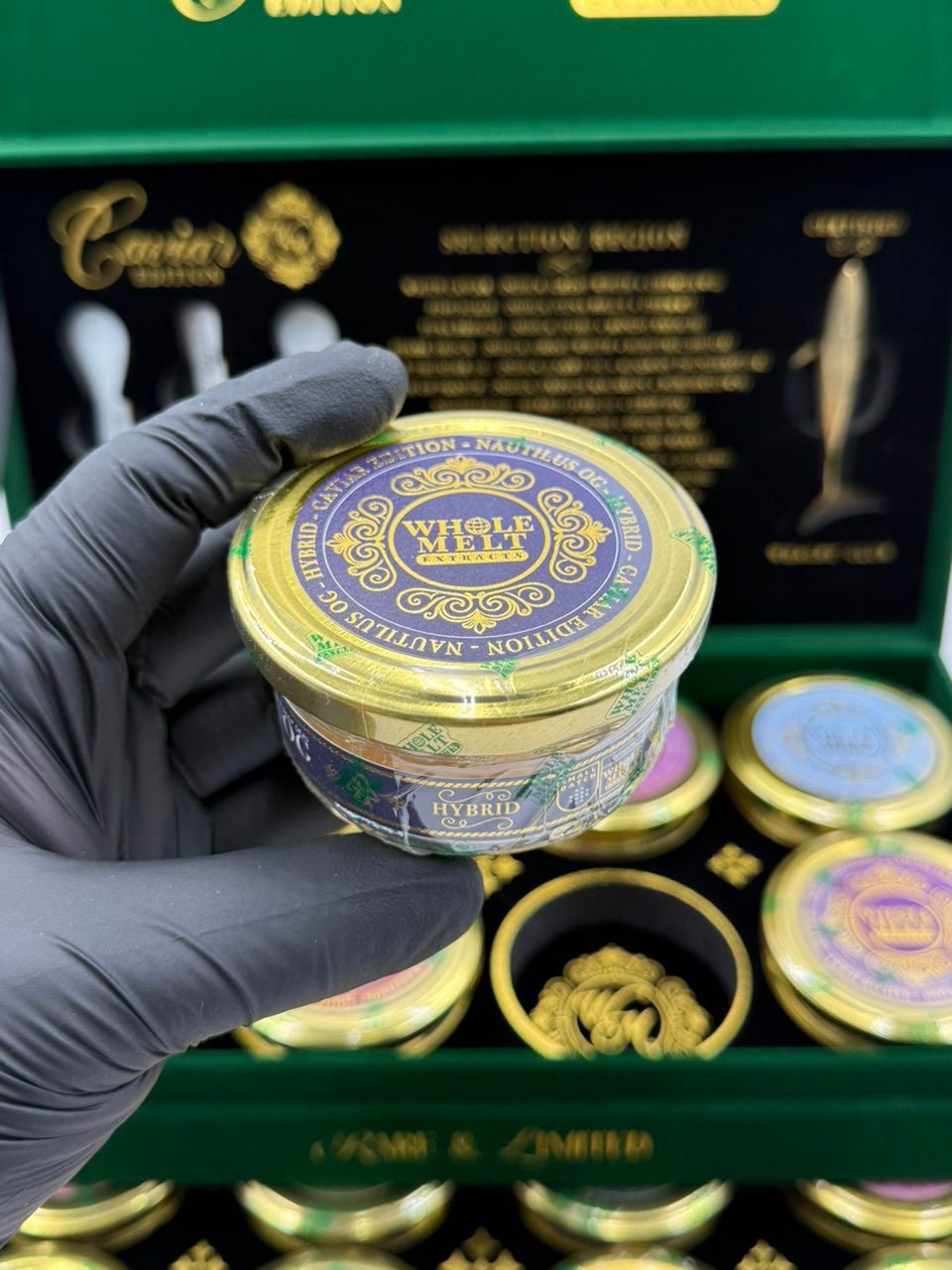 Whole Melt CAVIAR Edition Whole Melt CAVIAR Edition