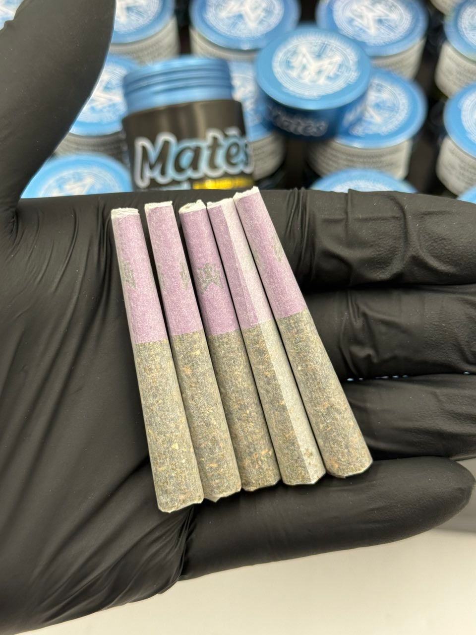 MUHA MATES ROSIN Berry Gelato