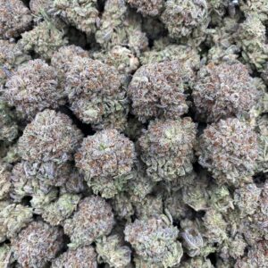 Gushy mintz cannabis strain