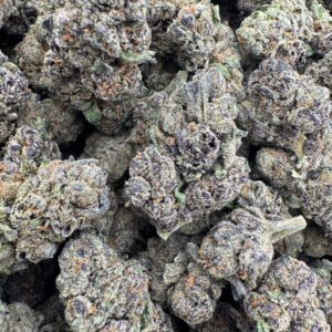 Thin Mint Cookies cannabis strain