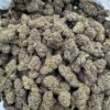 Thin Mint Cookies