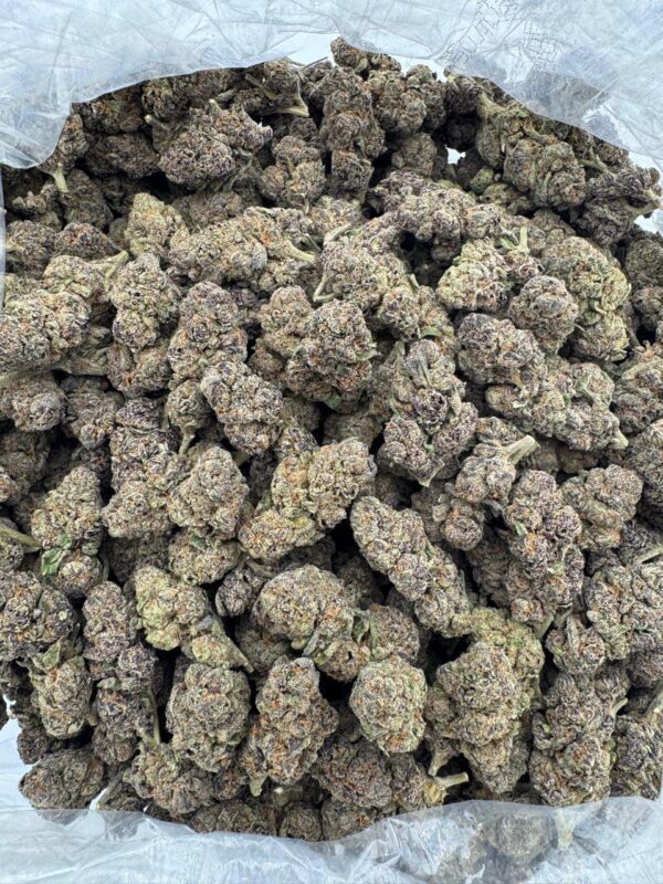 Thin Mint Cookies
