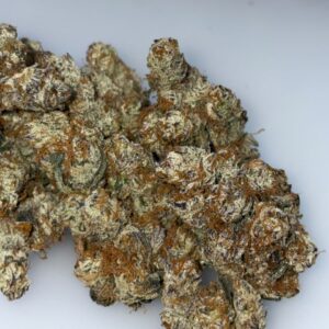 New York Cheesecake cannabis strain