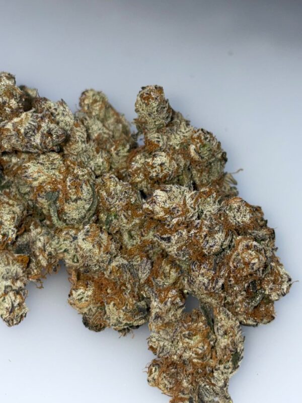 New York Cheesecake cannabis strain