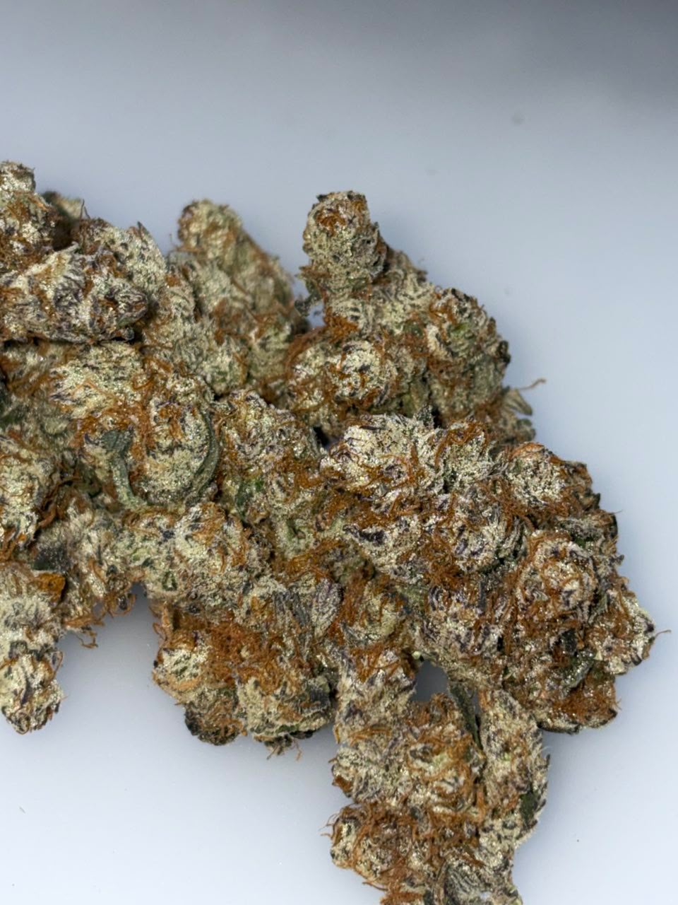 New York Cheesecake cannabis strain New York Cheesecake cannabis strain