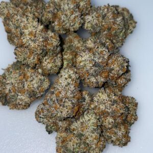 Grateful Gambler Cannabis Strain