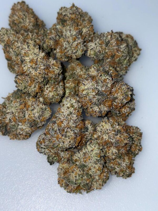 Grateful Gambler Cannabis Strain