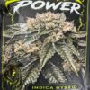 Sour Power cannabis strain