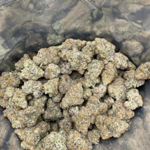 Wicked witch cannabis strain