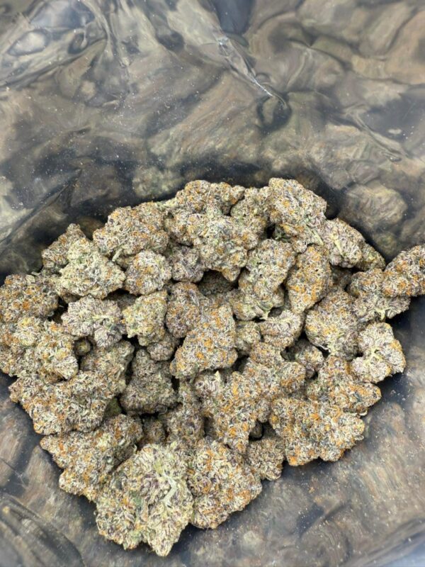 Wicked witch cannabis strain