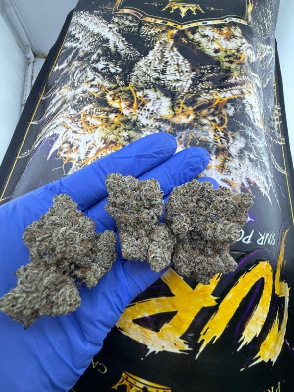 Surray cannabis strain