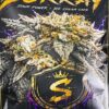 Surray cannabis strain