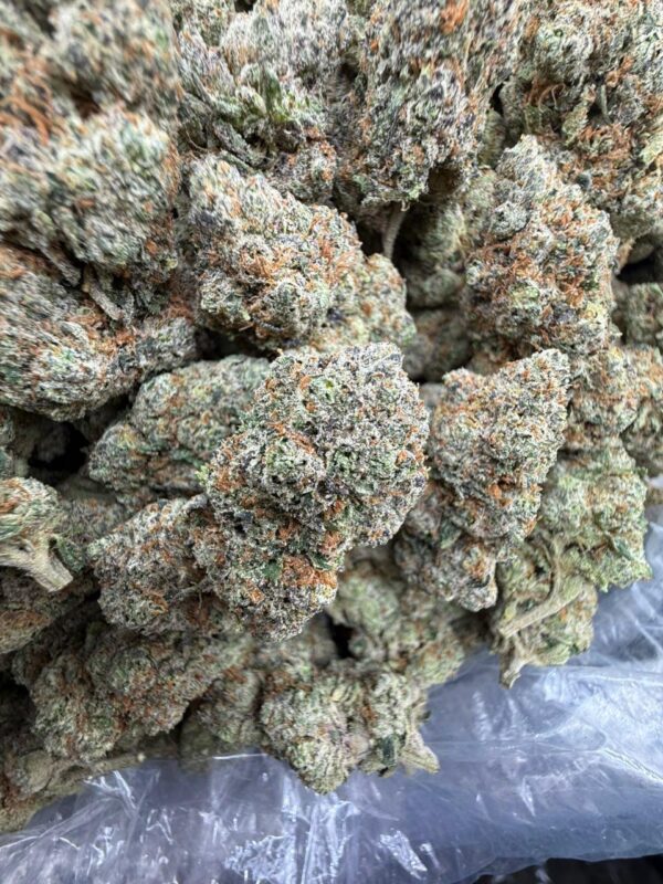 Super Lemon Cherry cannabis strain