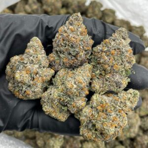 Grape Crème Brûlée cannabis strain