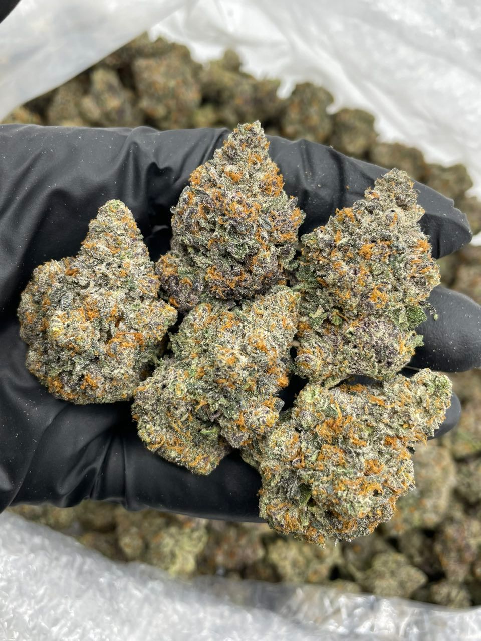 Grape Crème Brûlée cannabis strain Grape Crème Brûlée cannabis strain
