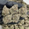Zour Blowpops Cannabis Strain