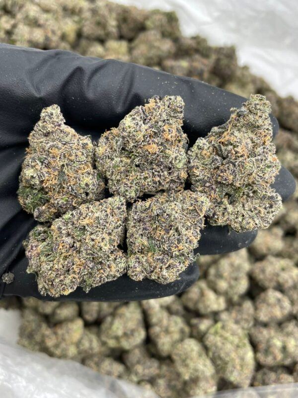 Zour Blowpops Cannabis Strain