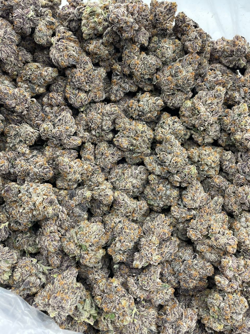Frozen Fruit Rollups Cannabis Strain Frozen Fruit Rollups Cannabis Strain