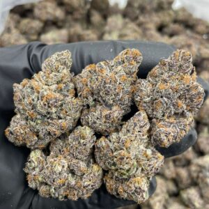 Frozen Fruit Rollups cannabias strain
