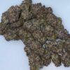 Don Dyno Cannabis Strain