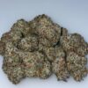Shell Shocked cannabis strain