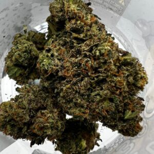 Coast to Coast Cannabis Strain