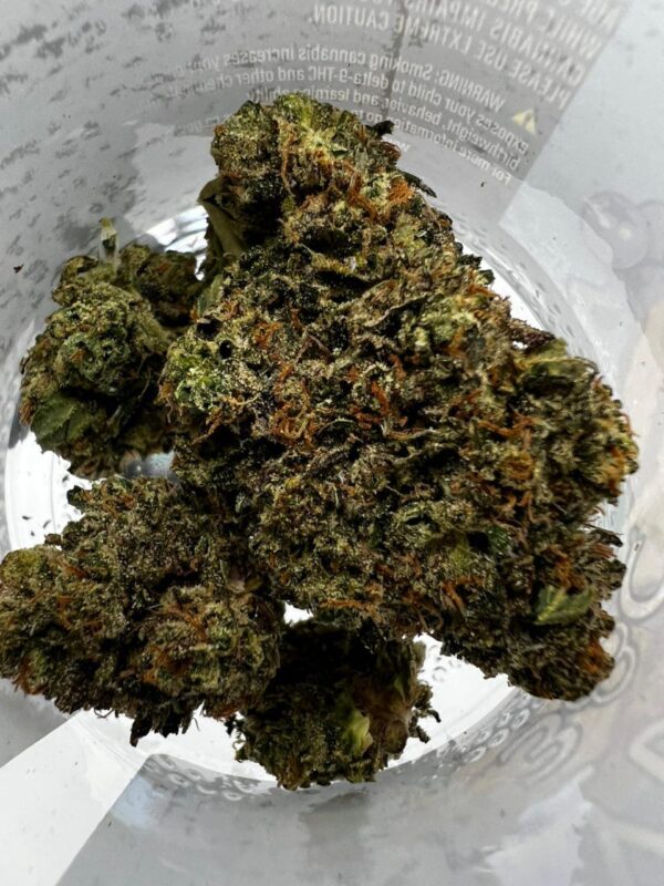 Coast to Coast Cannabis Strain