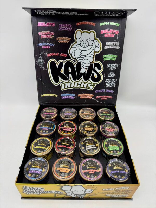 Kaws Rocks Exotic Edition