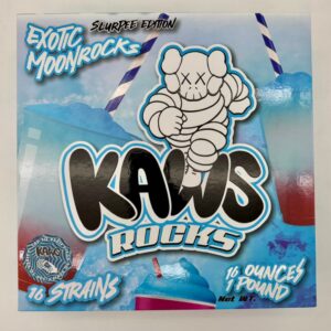 Kaws Rocks Slurpee Edition