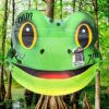 TOAD VENOM Cannabis Strain