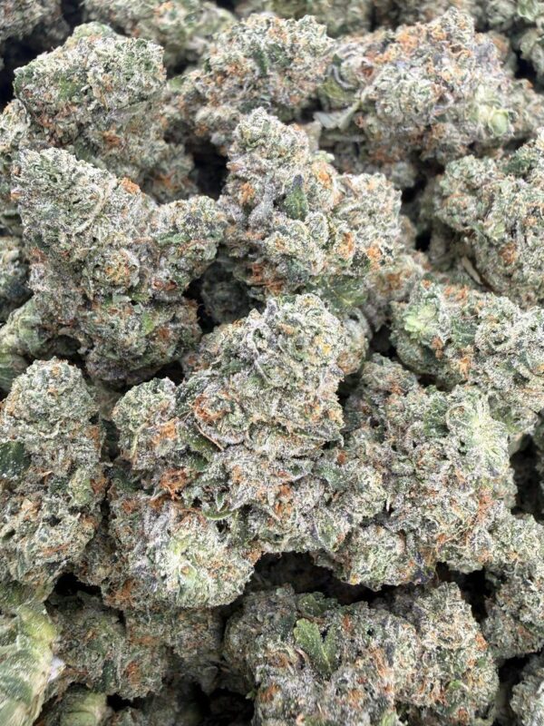 TOAD VENOM Cannabis Strain