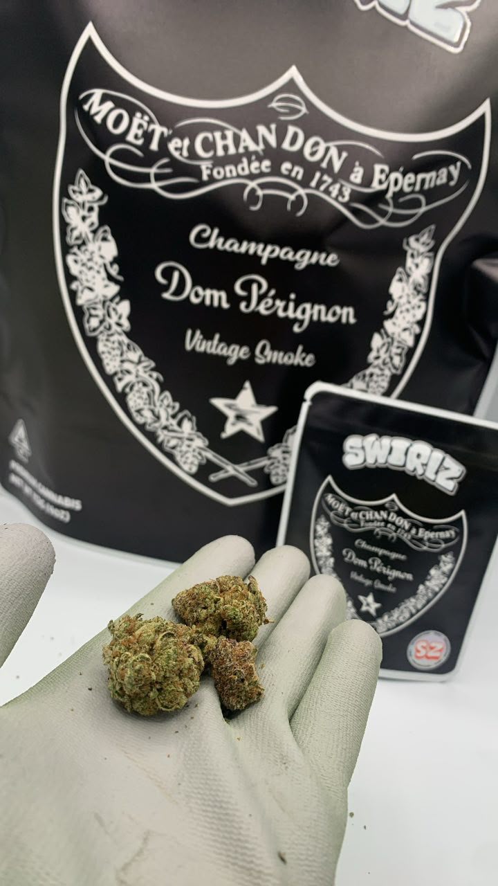 Shark Venom cannabis strainShark Venom cannabis strain Shark Venom cannabis strain