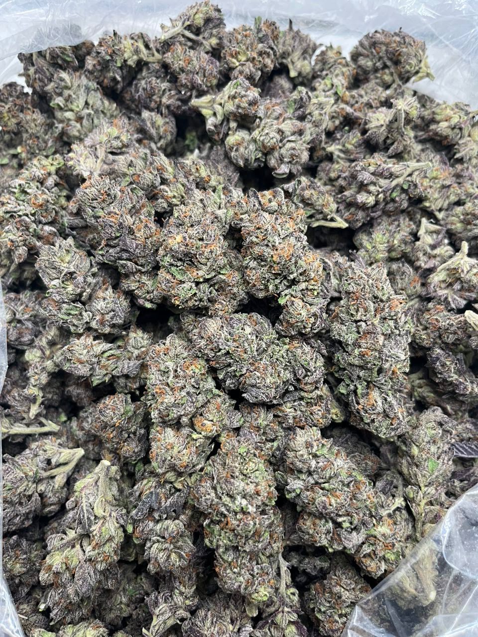 Jealousy AAA cannabis strain Jealousy AAA cannabis strain