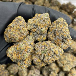 Magic Marker Indoor Cannabis Strain