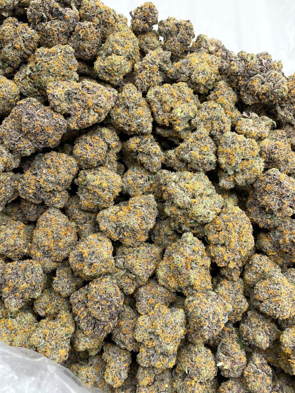 Magic Marker Indoor Cannabis Strain Magic Marker Indoor Cannabis Strain