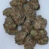 Mango Zlurpee Strain