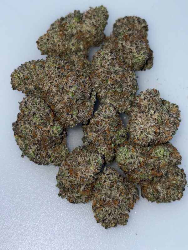 Mango Zlurpee Strain