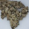 Lemon capri cannabis strain