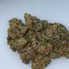 Pink Ghosties Strain