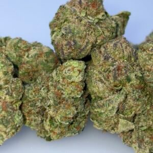 Gular SH Cannabis Strain