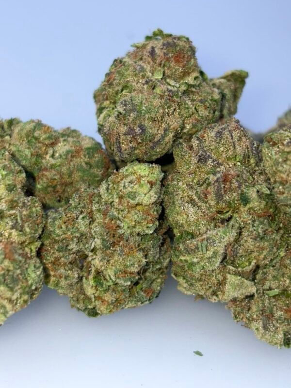 Gular SH Cannabis Strain