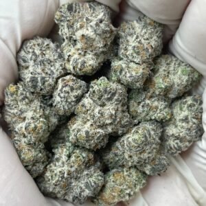 Secret Cookies strain