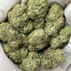 Purple Rhino Weed Strain