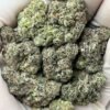 Sugar Donuts Cannabis Strain