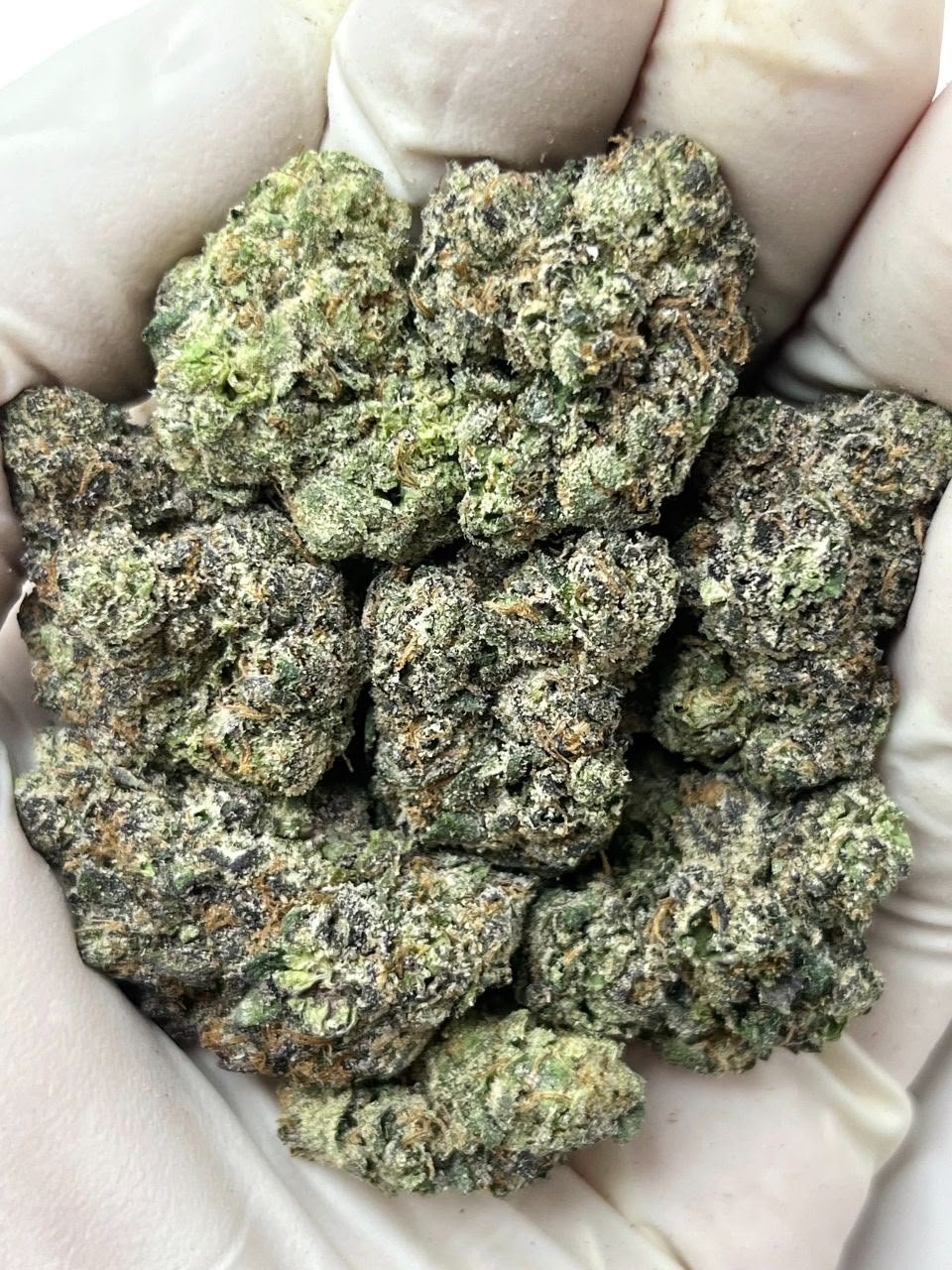 Sugar Donuts Cannabis Strain Sugar Donuts Cannabis Strain