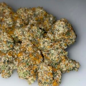 GMO Garlic Cookies Weed Strain