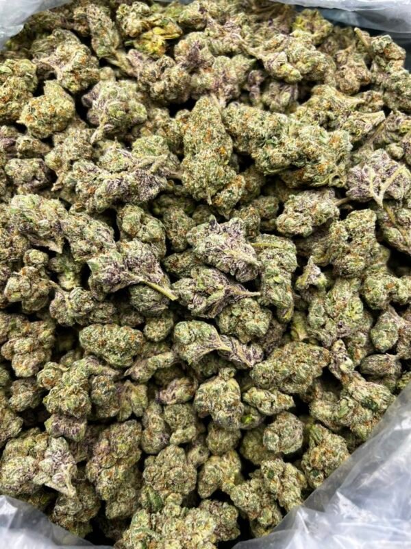 Bolo Runtz Strain