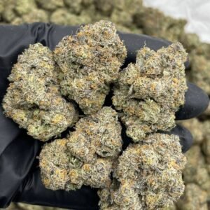 GIRL SCOUT ZOOKIES Cannabis Strain