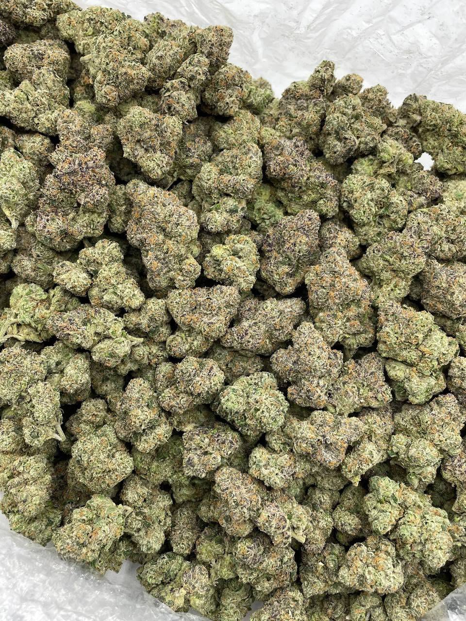 Mega Martian Candy strain' Mega Martian Candy strain